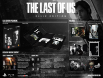 The Last of Us