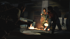 The Last of Us