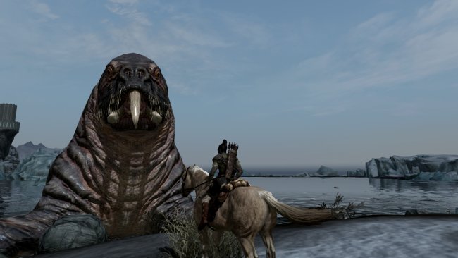 The Elder Scrolls V: Skyrim