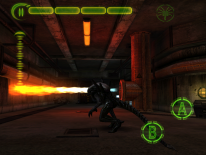 AVP: Evolution