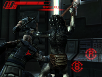 AVP: Evolution