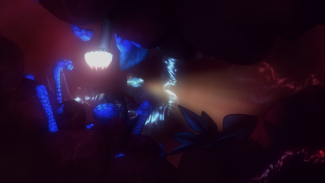 Affordable Space Adventures