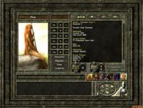 Icewind Dale II