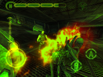 AVP: Evolution