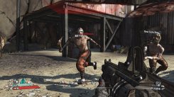 Exclusive Borderlands screens