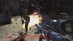 Exclusive Borderlands screens