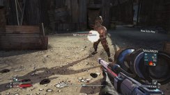 Exclusive Borderlands screens