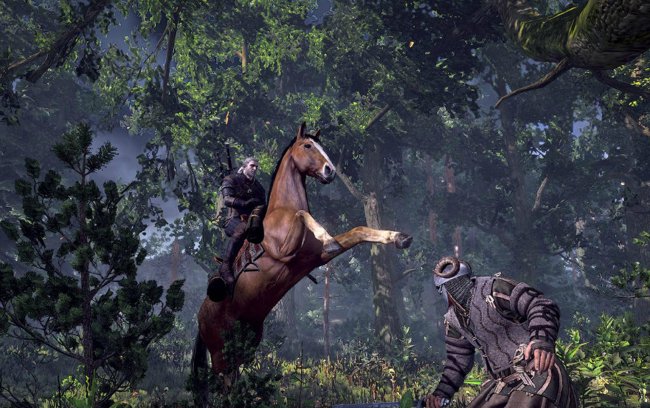 witcher3_bilderna_692441.jpg