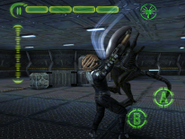 AVP: Evolution