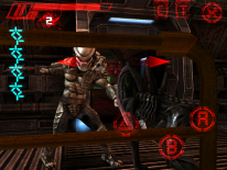 AVP: Evolution