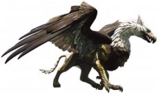 Dragon's Dogma