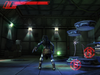 AVP: Evolution