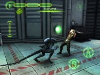 AVP: Evolution