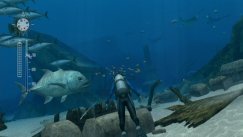Endless Ocean 2