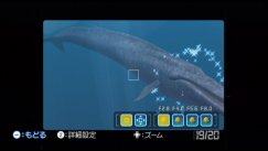Endless Ocean 2