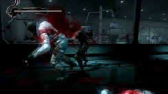 Ninja Gaiden 3
