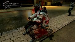 Ninja Gaiden 3