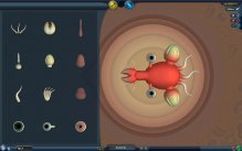 Reviewed: Spore