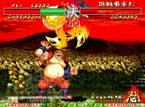 Samurai Showdown II