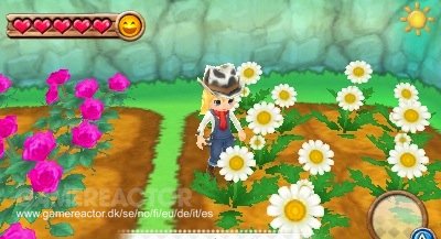 easy way to make money in harvest moon a new beginning