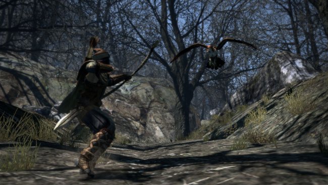 Dragon's Dogma