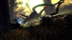 The Witcher 2: Assassins of Kings