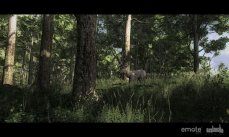 The Hunter