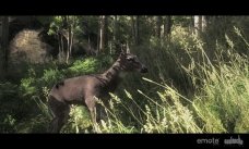 The Hunter