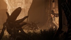 Aliens vs. Predator