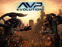 AVP: Evolution