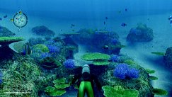 Endless Ocean