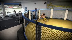 EA Sports MMA
