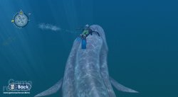 Endless Ocean