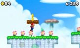 New Super Mario Bros. 2