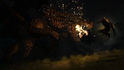 Dragon's Dogma