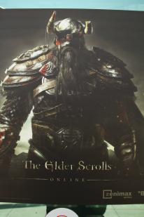 The Elder Scrolls Online