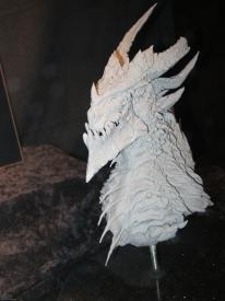 Photo tour of Blizzard