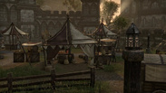 The Elder Scrolls Online - Gathering and Exploration Trailer