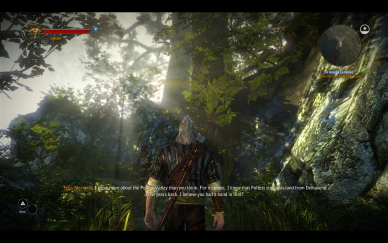 The Witcher 2: Assassins of Kings