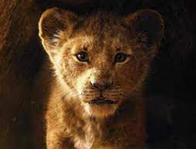 Sonic the Hedgehog 3