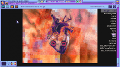 Related Image