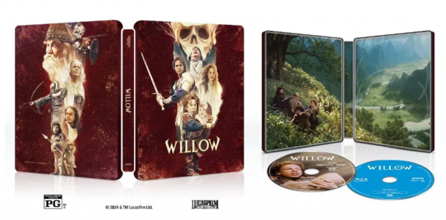 Willow