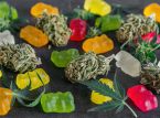 Decriminalisation of cannabis found not to drive up usage, but commercialisation of the drug does