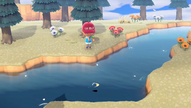Animal Crossing: New Horizons