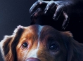 You'll be able to watch Good Boy on Disney+ by the end of April