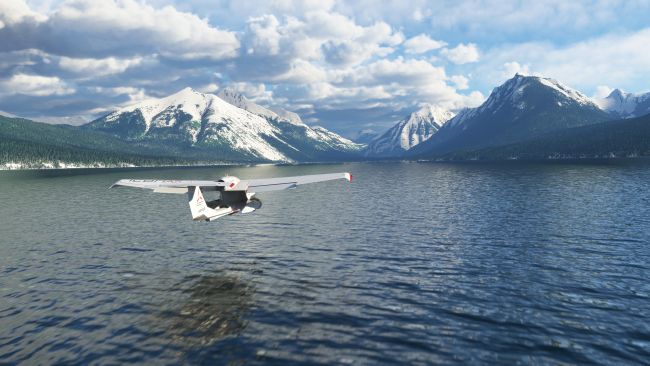 Microsoft Flight Simulator