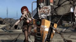 media/04/borderlands_190405t.jpg