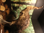 The company that brought the extinct dire wolf back to life is now preparing to revive New Zealand's giant bird Moa