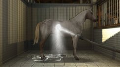 my horse and me 2 xbox 360