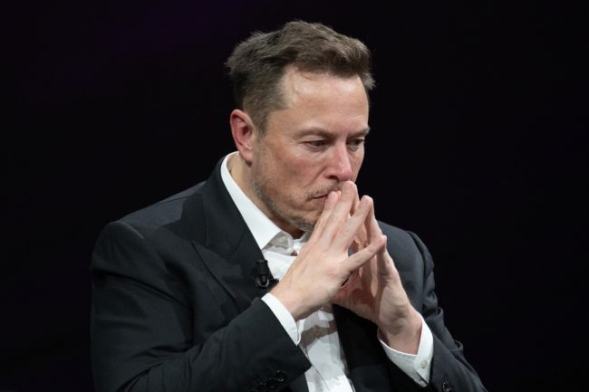 Elon Musk's team gains unprecedented access to federal payment system
